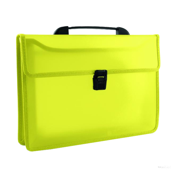 HS480 twin pocket carry case