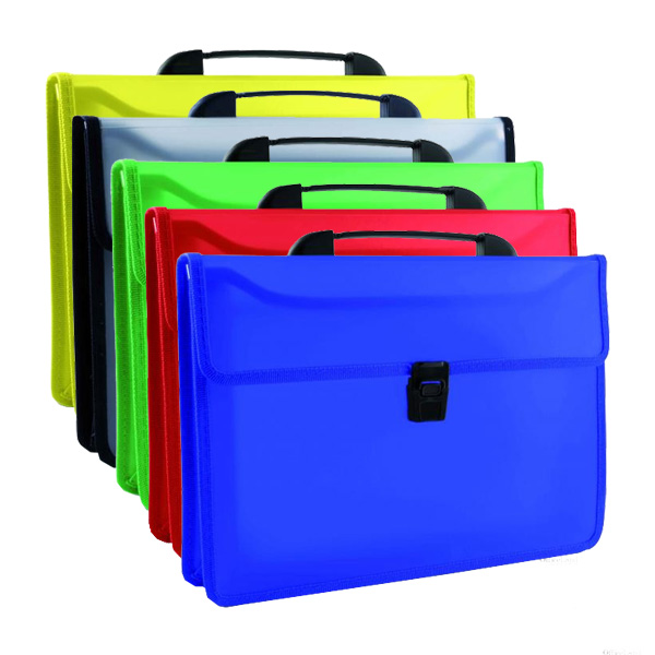 HS480 twin pocket carry case