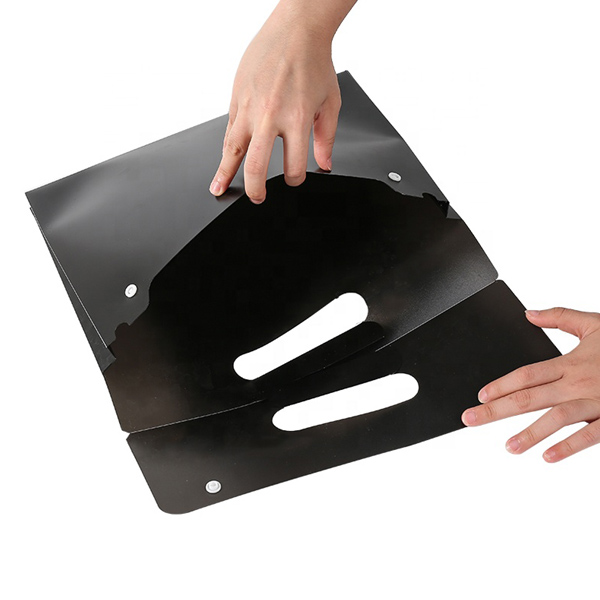 HS455 snap carry case
